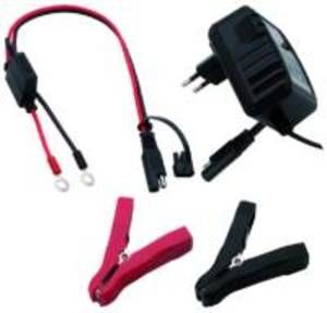 Caricabatterie per Batterie al Piombo 6/12V 0,75A